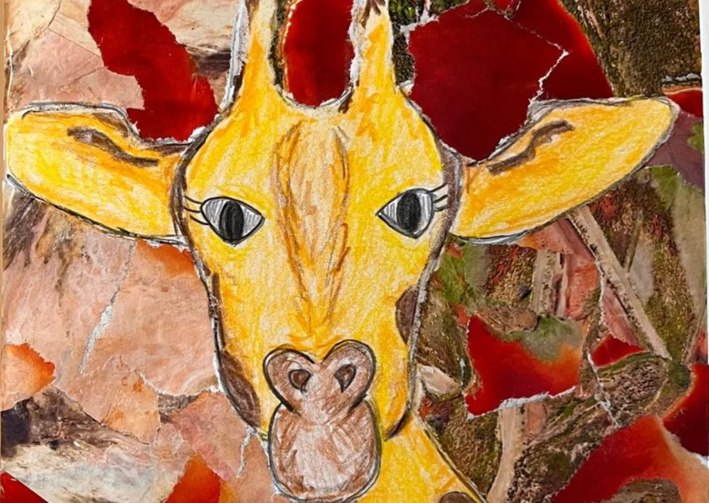 safarifraglianimali
